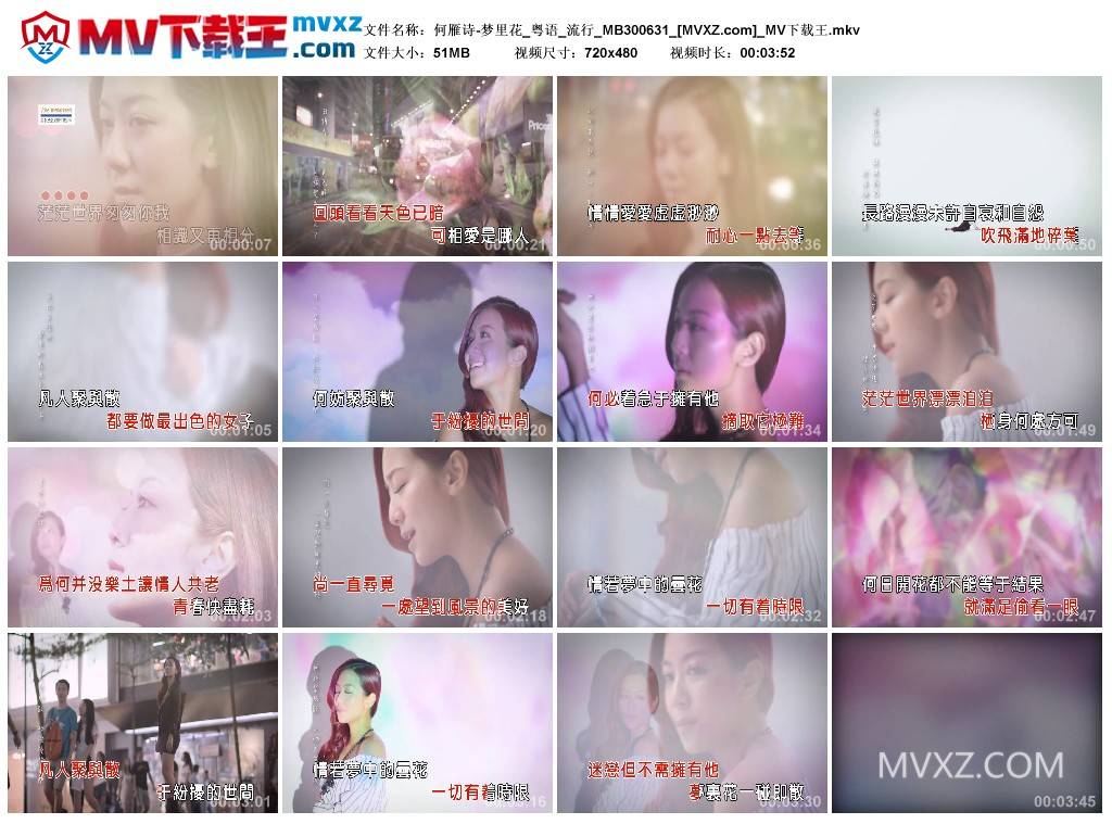 何雁诗-梦里花_粤语_流行_MB300631